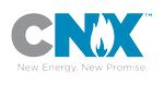 Logo for CNX